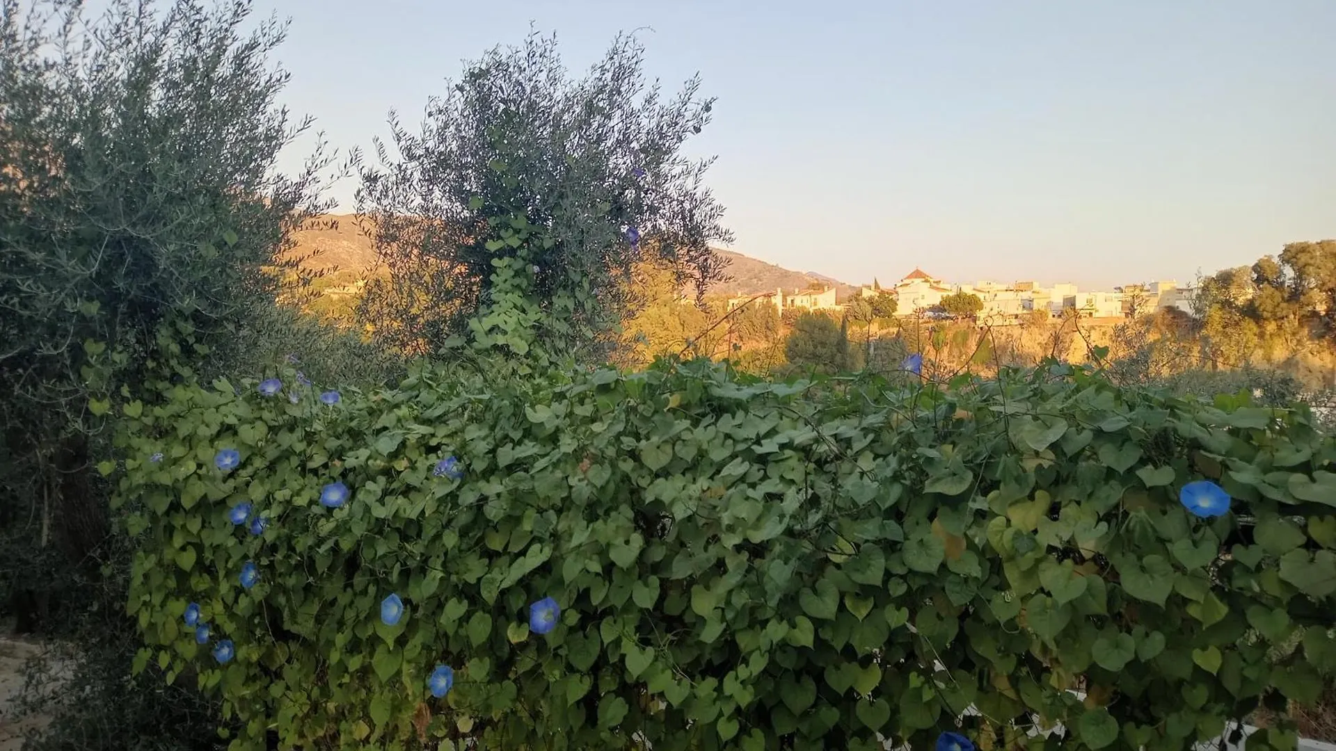 Finca Alandalus contacts